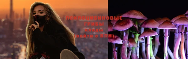 мяу мяу мука Бородино